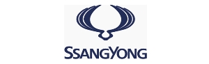 Parbrize SsangYong